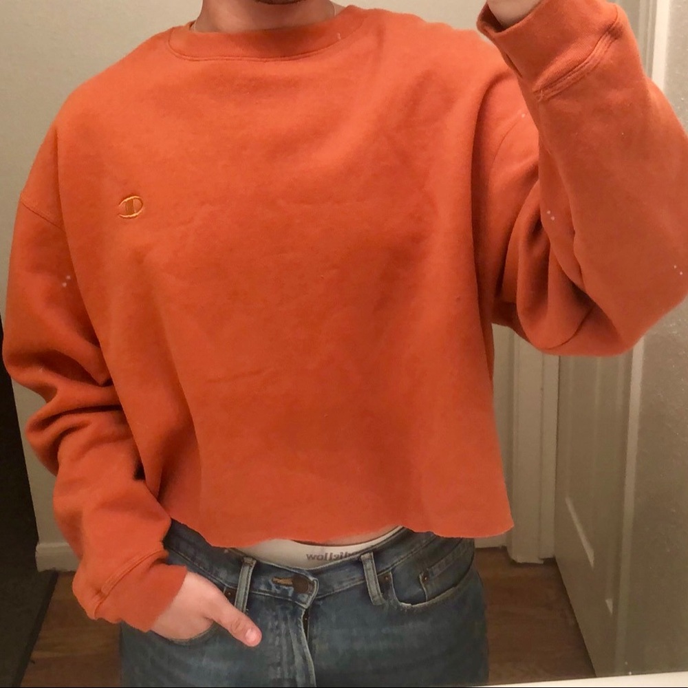 Champion Crop Top Sweater